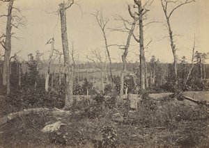 Pole bitwy pod Resaca, Georgia, nr 3,1864 (zdjęcie) autorstwa George N. Barnard