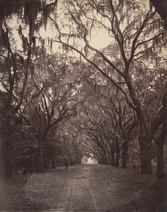 Cmentarz Bonawentury, cztery mile od Savannah, 1866. autorstwa George N. Barnard