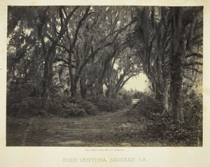 Buen-Ventura Savannah, Ga. autorstwa George N. Barnard