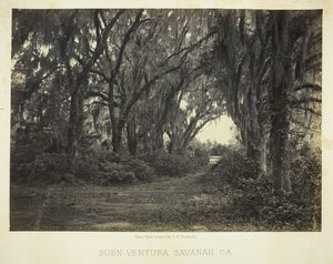 Buen-Ventura Savannah, Georgia, 1866. autorstwa George N. Barnard