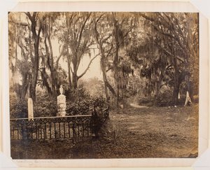 Buen-Ventura, Savannah, Georgia autorstwa George N. Barnard