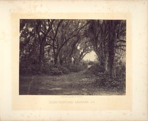 Buen-Ventura, Savannah, Georgia autorstwa George N. Barnard