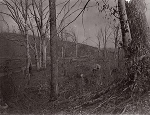 Bull Run, Wirginia, 1861-62. autorstwa George N. Barnard
