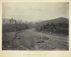 Myszołów Roost, GA, 1866. autorstwa George N. Barnard