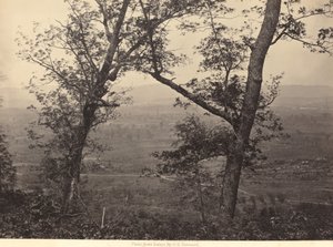 Orchard Gałka z Mission Ridge autorstwa George N. Barnard