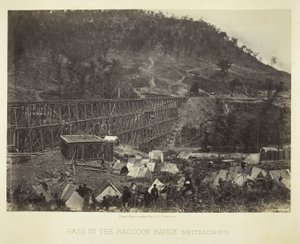 Przełęcz w Pasmie Szopów, Whiteside nr 1 autorstwa George N. Barnard