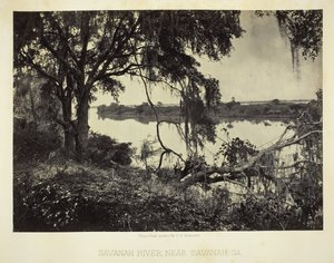 Rzeka Savannah, niedaleko Savannah, GA, 1866. autorstwa George N. Barnard