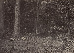 Scena śmierci generała McPhersona, 1864 lub 1866. autorstwa George N. Barnard