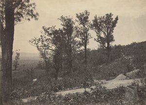 Herb Mission Ridge, 1860. autorstwa George N. Barnard