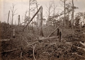 "Piekielna dziura", New Hope Church, Georgia, z Photographic Views of Sherman