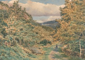 Droga w pobliżu Bettws-y-Coed autorstwa George Price Boyce