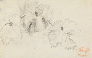 Analiza liści 1 autorstwa George Romney