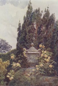 Chwała Dijon, Penshurst autorstwa George Samuel Elgood