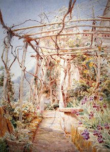 Irysy pod pergolą autorstwa George Samuel Elgood