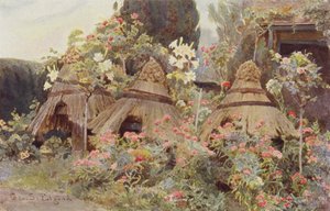 Robótki damskie z Coventrys autorstwa George Samuel Elgood