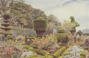 Levens, Roses i Pinks autorstwa George Samuel Elgood