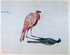 Ptak, 1820-1876 autorstwa George Sand