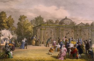 Małpi dom w ogrodach zoologicznych, Regent