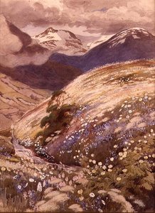Kwiaty alpejskie (akwarela na papierze) autorstwa George Soper