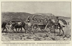 Transport rannych w drodze do szpitala w Bloemfontein autorstwa George Soper