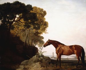 Arab z zatoki w krajobrazie wybrzeża, 1779 autorstwa George Stubbs