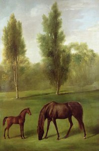 Kasztanowa klacz i źrebię w leśnym krajobrazie, ok. 1761-63 (olej na płótnie) autorstwa George Stubbs