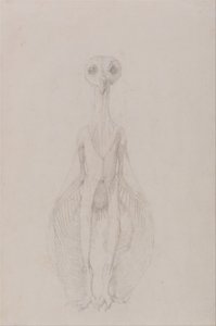 Anatomiczne porównanie budowy ludzkiego ciała z ciałem tygrysa i ptactwa domowego: Stojąca sowa, widok z przodu autorstwa George Stubbs
