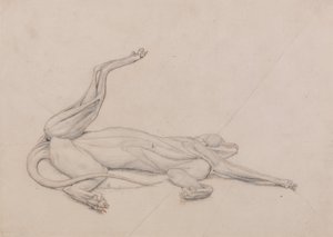 Anatomiczne porównanie budowy ludzkiego ciała z ciałem tygrysa i ptactwa domowego: Tygrys w pozycji leżącej, widziany dośrodkowo autorstwa George Stubbs