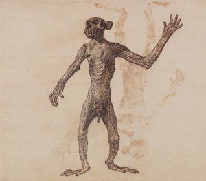 Anatomiczne porównanie budowy ludzkiego ciała z ciałem tygrysa i ptactwa domowego:  Stojąca małpa, widok z przodu autorstwa George Stubbs
