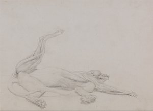 Anatomiczne porównanie budowy ludzkiego ciała z ciałem tygrysa i ptactwa domowego:  Ciało tygrysa, w pozycji leżącej, widziane dośrodkowo autorstwa George Stubbs