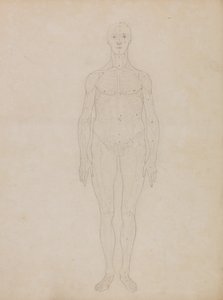 Anatomiczna ekspozycja porównawcza struktury ludzkiego ciała z ciałem tygrysa i zwykłego ptactwa: Study of the Human Figure, Anterior View (Prawdopodobnie powiązane z Tabelą XI) autorstwa George Stubbs