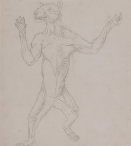 Anatomiczne porównanie budowy ludzkiego ciała z ciałem tygrysa i ptactwa domowego:  Ciało tygrysa, stojące w ludzkiej postawie autorstwa George Stubbs