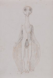 Anatomiczne porównanie budowy ludzkiego ciała z ciałem tygrysa i ptactwa domowego:  Stojąca sowa, widok z przodu autorstwa George Stubbs