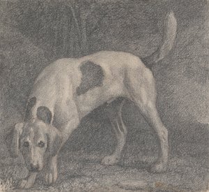 Foxhound na zapach autorstwa George Stubbs