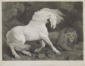 Grawerowany przez artystę koń przestraszony przez lwa, wyd. 1788 autorstwa George Stubbs