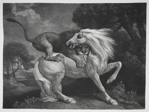 Koń zaatakowany przez lwa autorstwa George Stubbs
