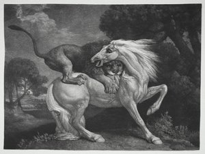 Koń zaatakowany przez lwa, 1788. autorstwa George Stubbs