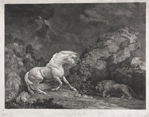Koń przestraszony przez lwa autorstwa George Stubbs