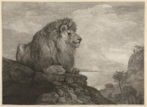 Lew [Lew odpoczywający na skale] autorstwa George Stubbs
