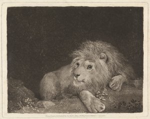 Lew [leżący lew] autorstwa George Stubbs