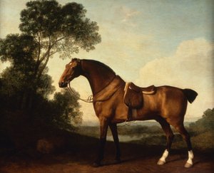 Osiodłany łowca z zatoki autorstwa George Stubbs