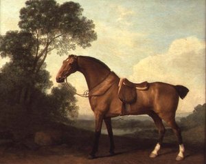 Osiodłany łowca zatoki w krajobrazie z jeziorem za nim autorstwa George Stubbs