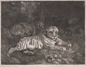 Tygrys i śpiący lampart autorstwa George Stubbs