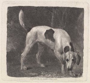 Pies [Lis ogar na zapach] autorstwa George Stubbs