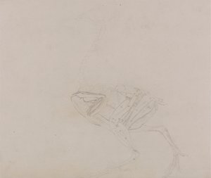 Ciało kury Dorking, widok z boku (badanie mięśni ciała i kończyn na późniejszym etapie sekcji) autorstwa George Stubbs