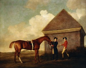 „Eclipse”, ciemnokasztanowy koń wyścigowy trzymany przez pana młodego z dżokejem, prawdopodobnie Jackiem Oakleyem, przez Rubbing Down House w Newmarket, 1770 autorstwa George Stubbs