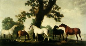 „Pięć klaczy lęgowych w stadninie księcia Cumberland w Windsor Great Park”, 1765, 1944. autorstwa George Stubbs