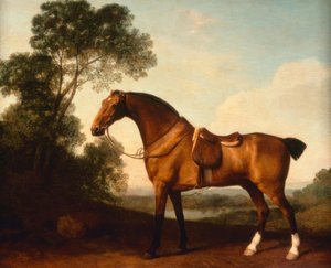 G. Stubbs, Osiodłany Łowca Bay autorstwa George Stubbs