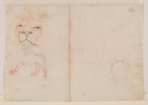 Głowa lwa, rewers, XVIII lub XIX w. autorstwa George Stubbs