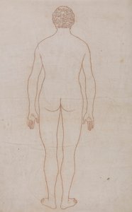 Ciało ludzkie, widok z tyłu (rysunek konspektu do tabeli VII) autorstwa George Stubbs